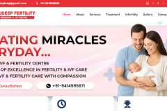 Rajdeep Fertility Clinic Website & Hospital Management System Development
